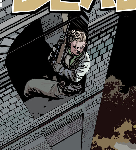 The Walking Dead Poster #113